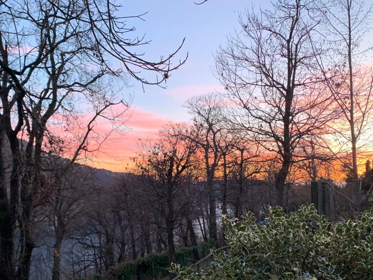 Il Riccio Appartamento Cernobbio Bagian luar foto
