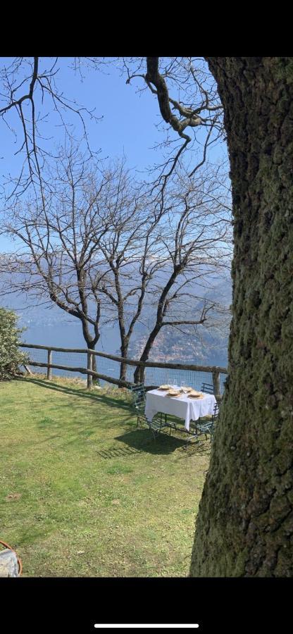 Il Riccio Appartamento Cernobbio Bagian luar foto