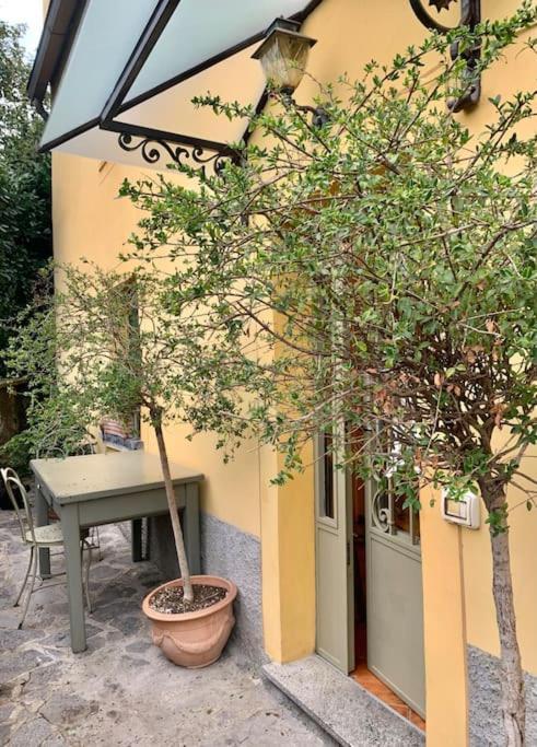 Il Riccio Appartamento Cernobbio Bagian luar foto